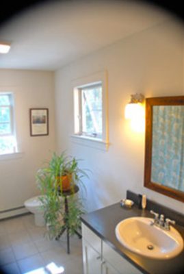 Cottage on Chapde Lane - Bathroom with Plants