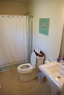 Oak Ave - Toilet, Shower, and Sink